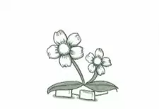 هاردساب انیمه پیوند (ویژه)
