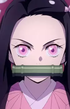 شخصیت نزوکو کامادو